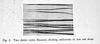 Bass 6 fig 2